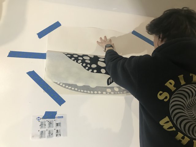 433DEC8D-04D9-4103-AECF-FAA0C4FF157C.jpeg