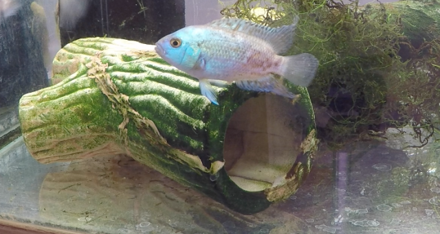 Happy Couple 8 2018-02-27 at 11.27.08 PM.png