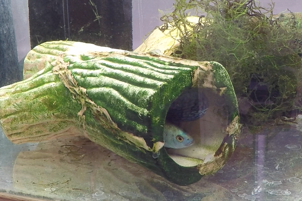 Happy Couple 5 2018-02-27 at 11.19.41 PM.png