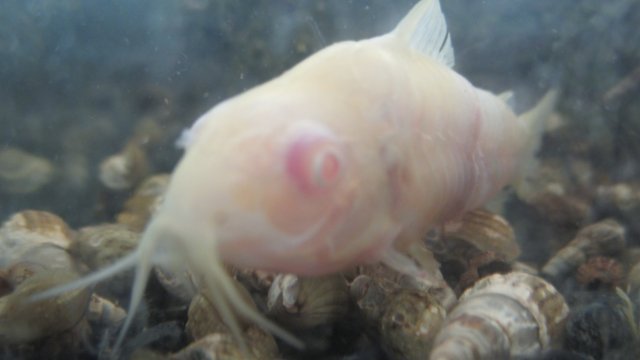 IMG_3652.JPG IMG_3652.JPG