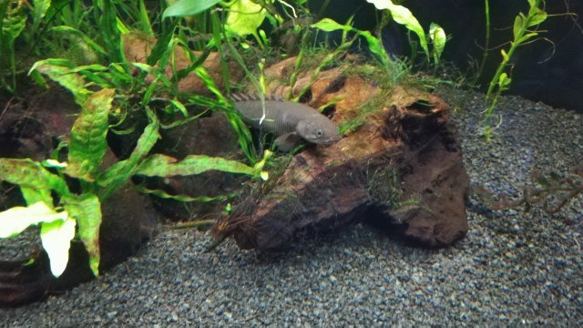 IMG_20180228_191943.jpg