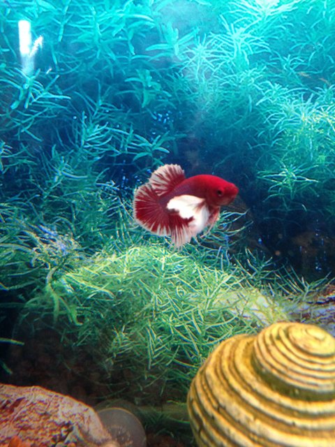 IMG_1619.JPG