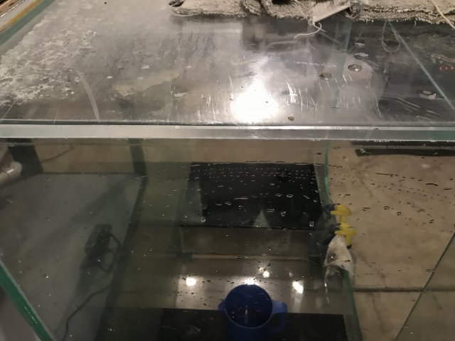 B55C4104-D06C-4DAF-8B9E-814E3E9DF709.jpeg