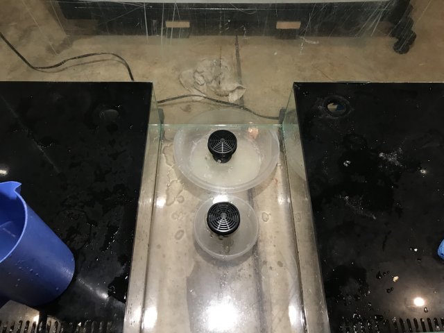 27B6E2F1-F5FD-4775-AEDD-F4CF855D7BFB.jpeg