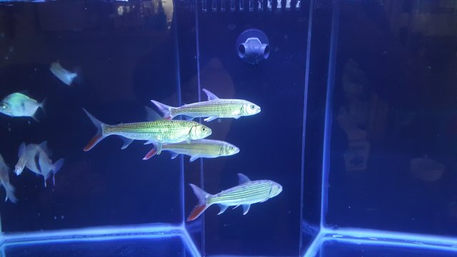 15202876963271885517106.jpg