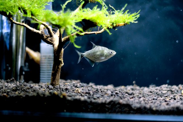 rai-1-month-2.jpg