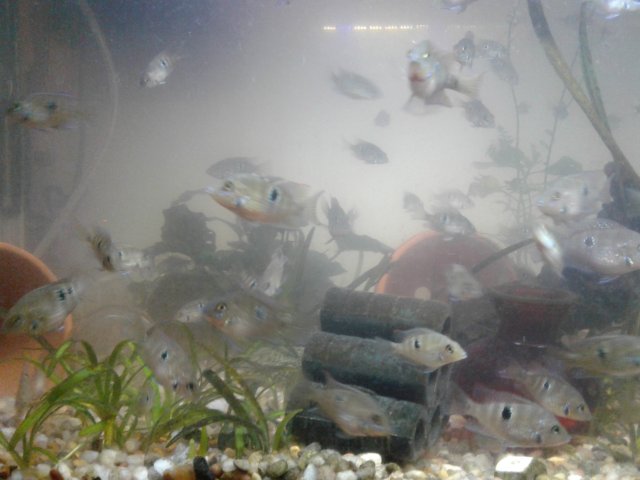 20180307_065119gdg.jpg
