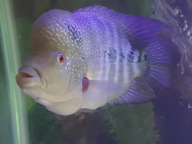 20180308_014108.jpg
