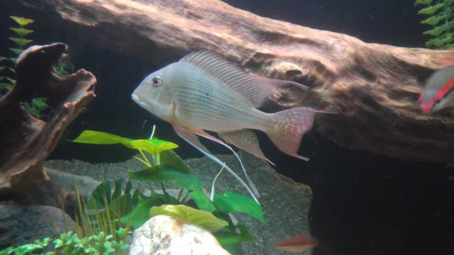 20180226_214856.jpg