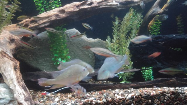 20180226_214519.jpg
