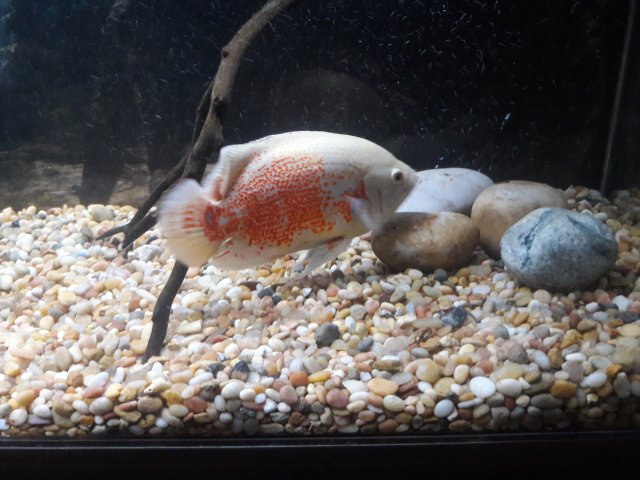 20180309_002015.jpg