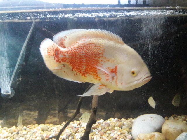 20180309_001611.jpg