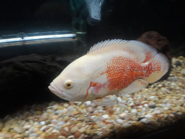 20180226_205702.jpg