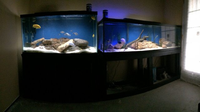 2014-6-10 Tanks.JPG 2014-6-10 Tanks.JPG