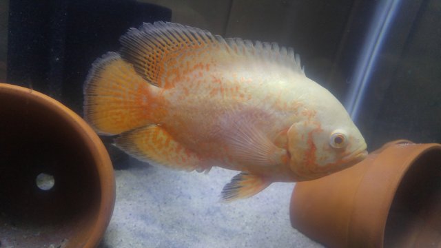 20180305_185912.jpg