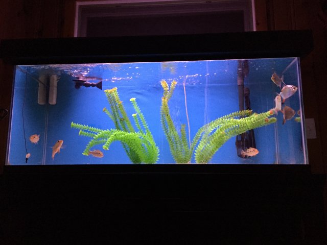 IMG_0892.JPG IMG_0892.JPG