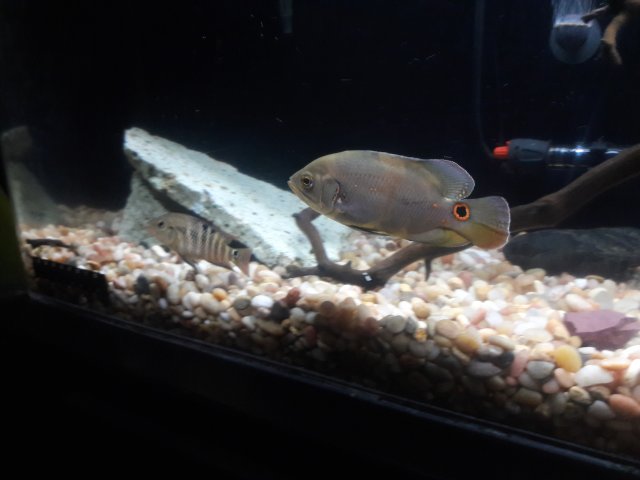 20180313_201129.jpg
