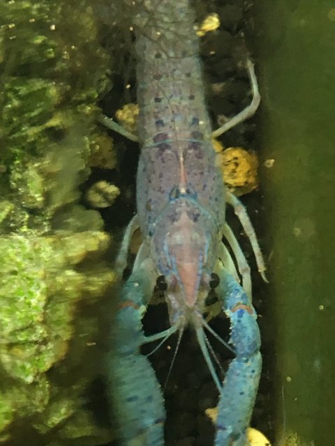 F92EA4FD-F249-4FEB-9713-7BF8B33E95E7.jpeg