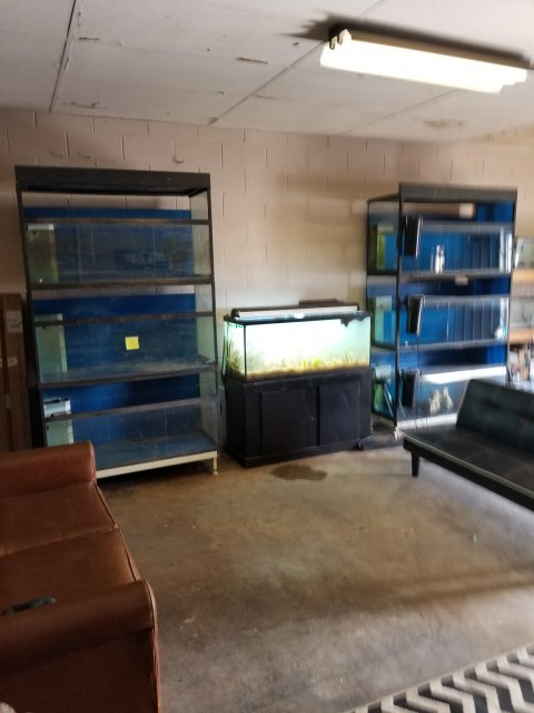 fish room 1.jpg fish room 1.jpg