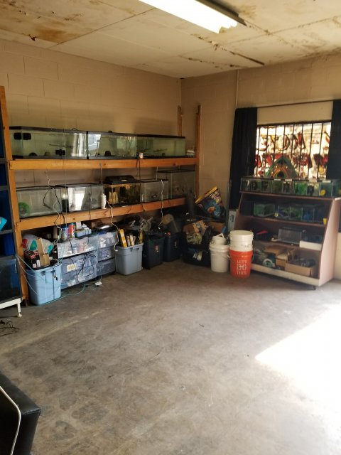 fish room 2.jpg fish room 2.jpg