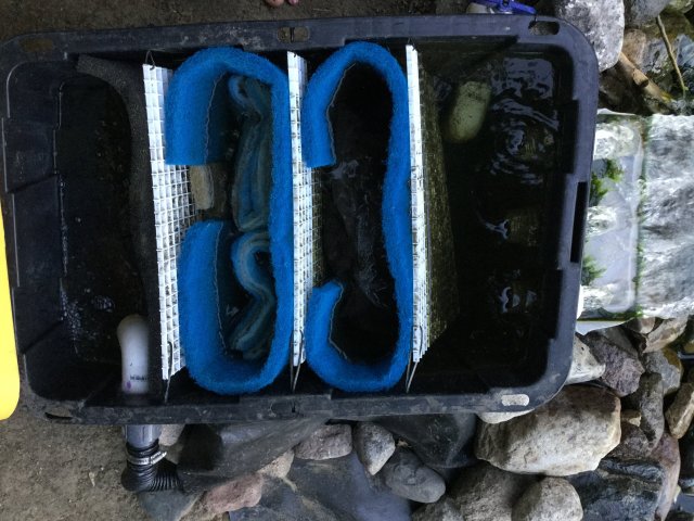 E11BC541-1F25-4FF2-8416-F8E2A95B7456.jpeg E11BC541-1F25-4FF2-8416-F8E2A95B7456.jpeg