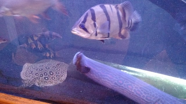 IMG_20171025_202452783.jpg