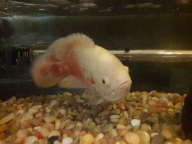 20180318_155038.jpg