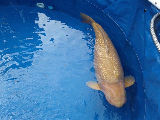 20180317_155606.jpg