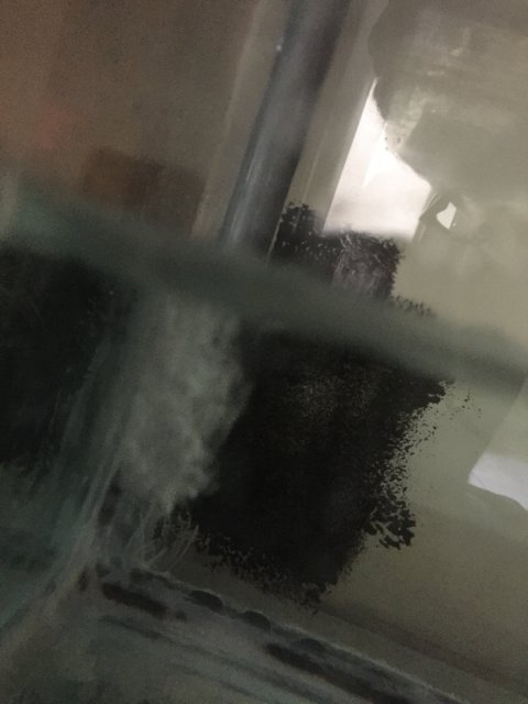 8AE9FA71-18EC-44A8-A0A2-BA92A766EE09.jpeg