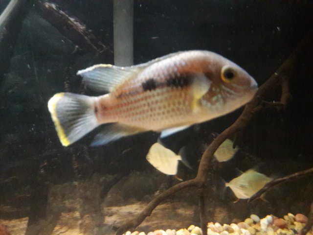 20180221_010640.jpg
