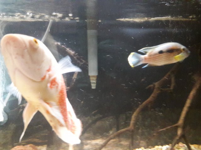 20180221_100610.jpg
