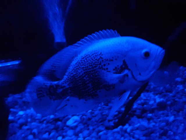 20180319_010810.jpg