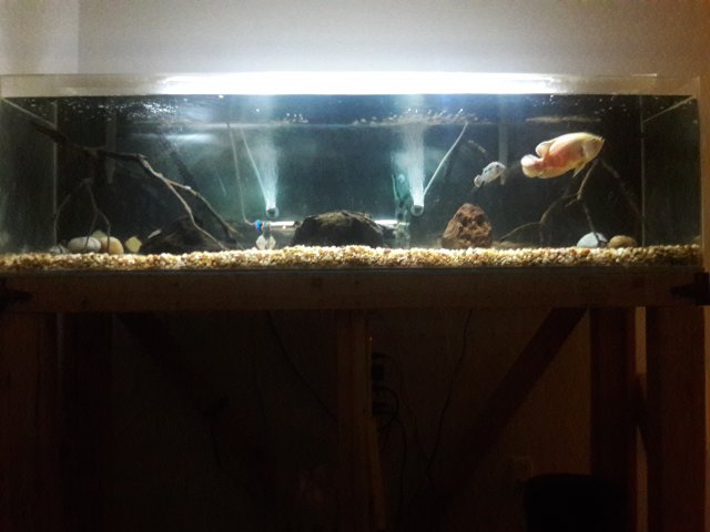 20180226_203736.jpg