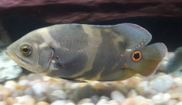 20180320_134327.jpg