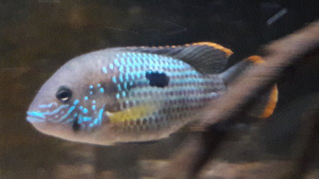 20180320_134135.jpg