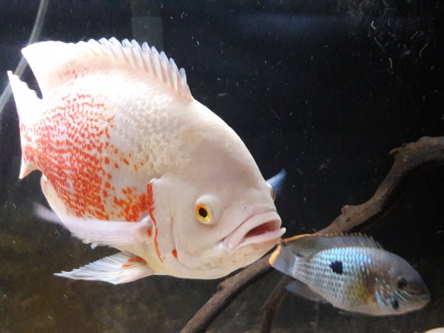 20180320_134215.jpg