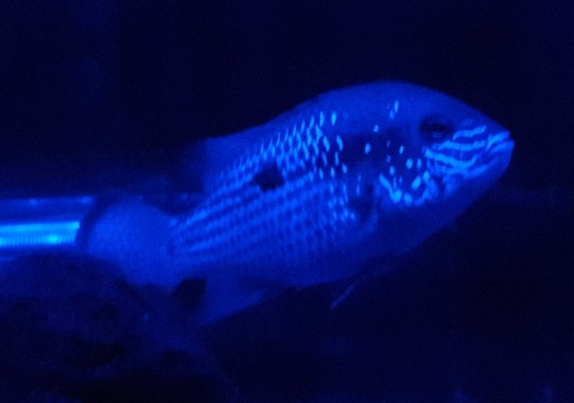 20180320_134007.jpg