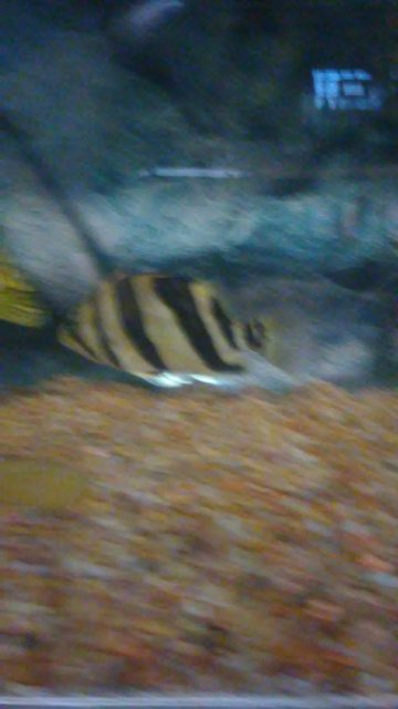 20180323_121726.jpg