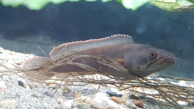 20180320_121336.jpg 20180320_121336.jpg