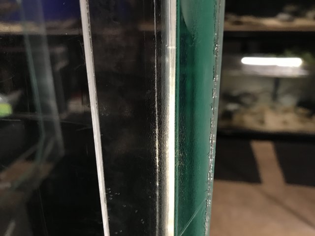 C5E28997-6993-45A4-A9E5-76BB635E918B.jpeg
