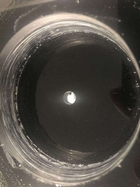 E81DE19A-B3D0-43E3-A095-0C08756DF1A8.jpeg