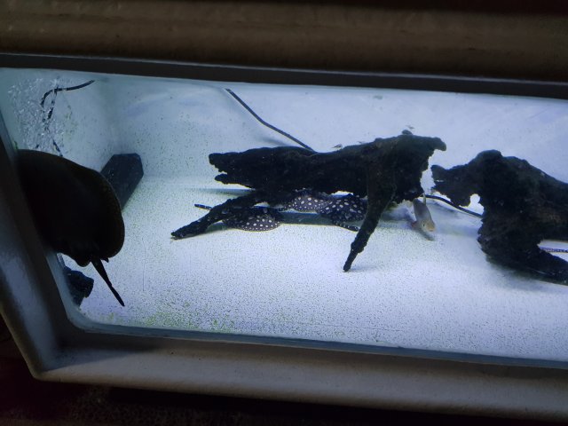 20180325_221549.jpg