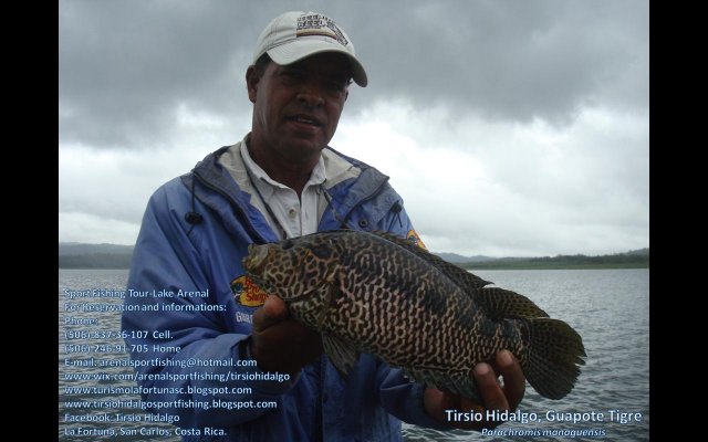 Guapote Tigre Tirsio Hidalgo SportFishing Tour Lake Arenal.JPG
