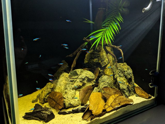 IMG_20180325_211216-01.jpeg IMG_20180325_211216-01.jpeg