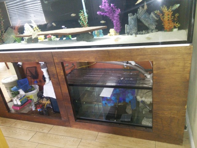 FS 200 +g acrylic fish tank with 80 gallons sump $300 FS 200 +g acrylic fish tank with 80 gallons sump $300