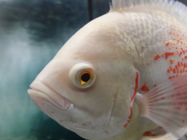 20171128_142157.jpg