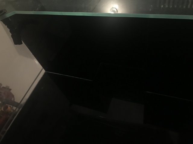 0634C94A-373C-4C0C-9534-9998DCA4F2BB.jpeg