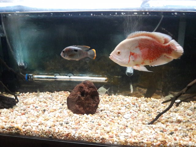 20180319_005555.jpg