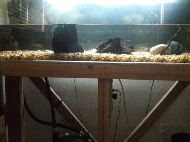 20180330_142432.jpg