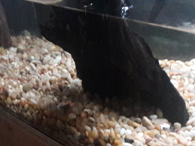 20180330_142710.jpg